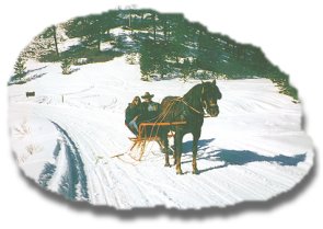 "One Horse Open Sleigh"
